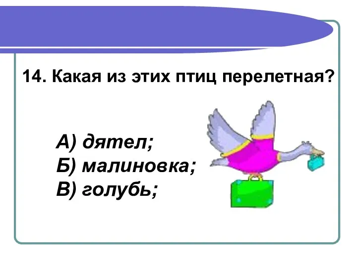 14. Какая из этих птиц перелетная? А) дятел; Б) малиновка; В) голубь;