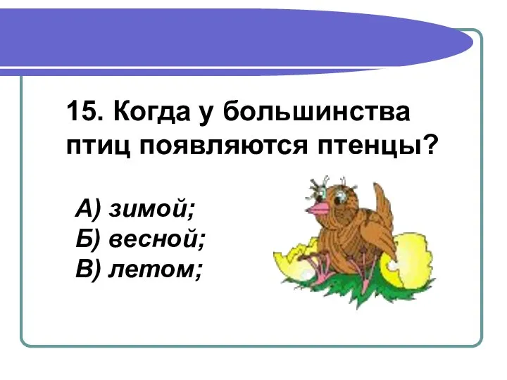 15. Когда у большинства птиц появляются птенцы? А) зимой; Б) весной; В) летом;