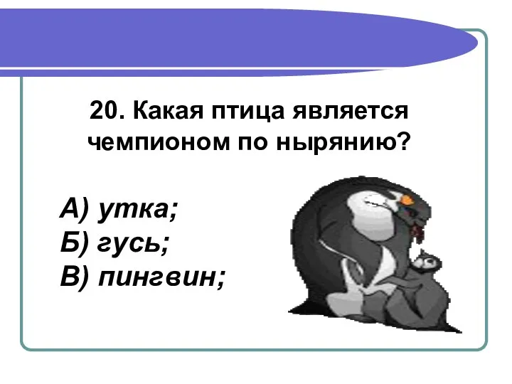 20. Какая птица является чемпионом по нырянию? А) утка; Б) гусь; В) пингвин;