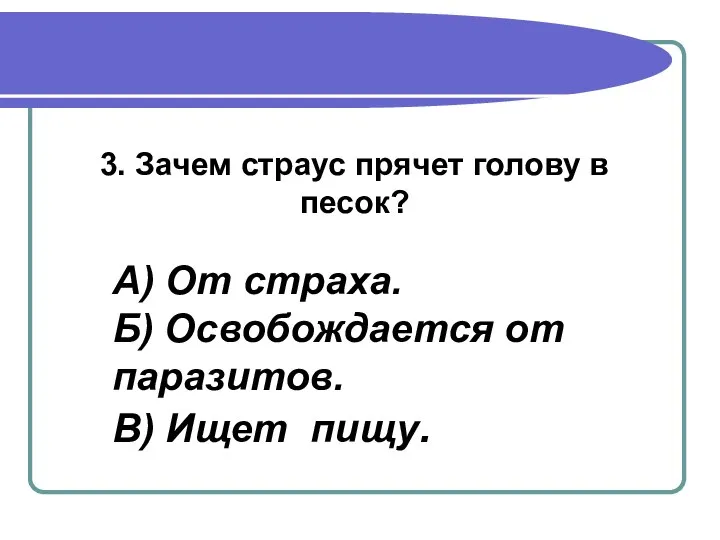 3. Зачем страус прячет голову в песок? А) От страха. Б)