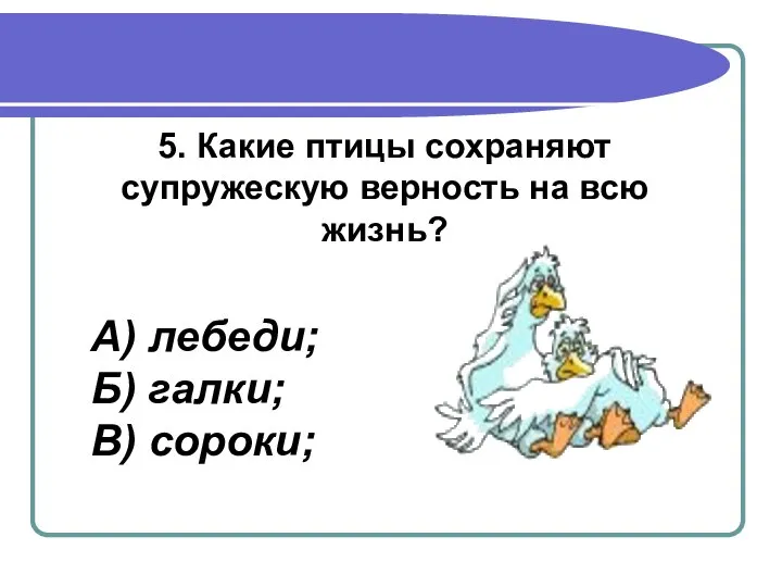 5. Какие птицы сохраняют супружескую верность на всю жизнь? А) лебеди; Б) галки; В) сороки;