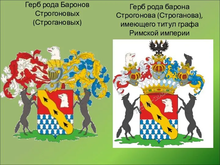 Герб рода барона Строгонова (Строганова), имеющего титул графа Римской империи Герб рода Баронов Строгоновых (Строгановых)