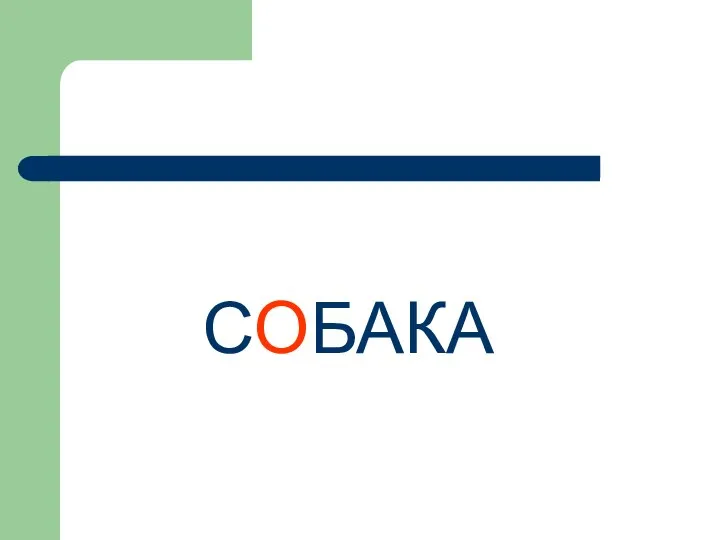 СОБАКА