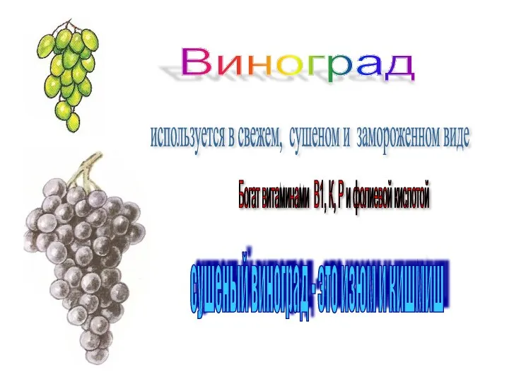 Виноград используется в свежем, сушеном и замороженном виде сушеный виноград -