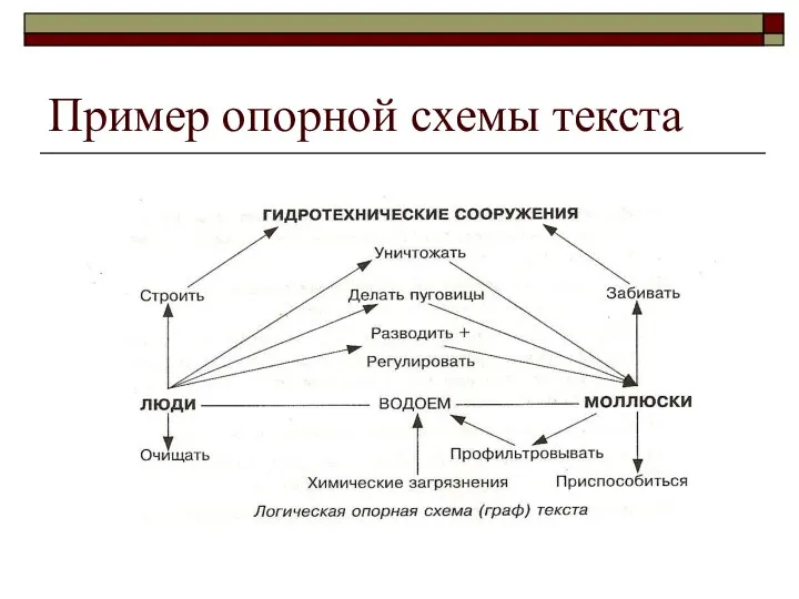 Пример опорной схемы текста