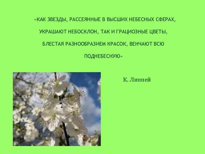 «КАК ЗВЕЗДЫ, РАССЕЯННЫЕ В ВЫСШИХ НЕБЕСНЫХ СФЕРАХ, УКРАШАЮТ НЕБОСКЛОН, ТАК И