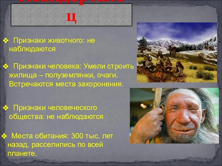Неандерталец Признаки животного: не наблюдаются Признаки человека: Умели строить жилища –