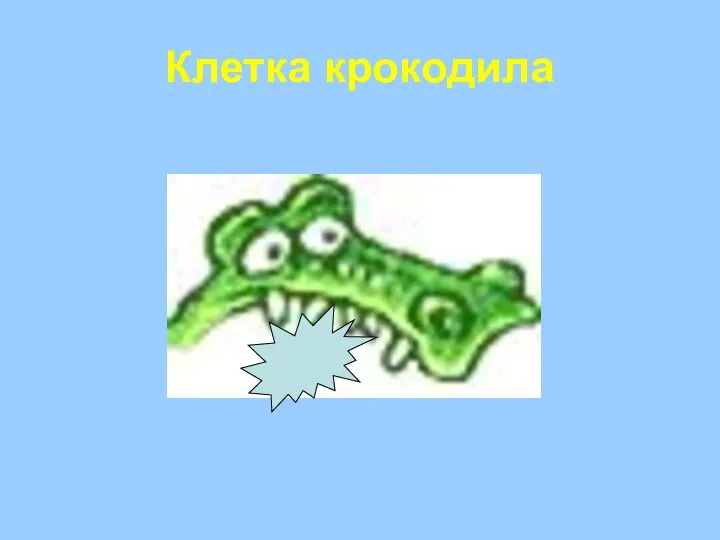 Клетка крокодила