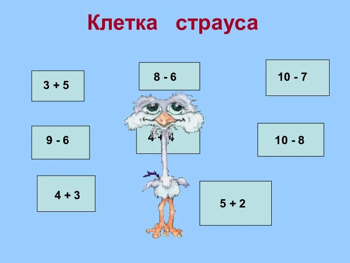 Клетка страуса 3 + 5 8 - 6 10 - 7