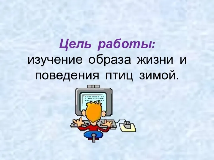 Цель работы: изучение образа жизни и поведения птиц зимой.