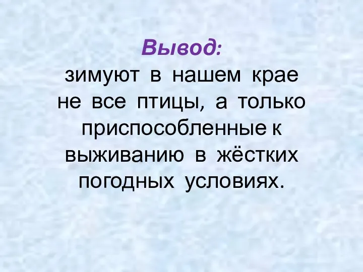 Вывод: зимуют в нашем крае не все птицы, а только приспособленные