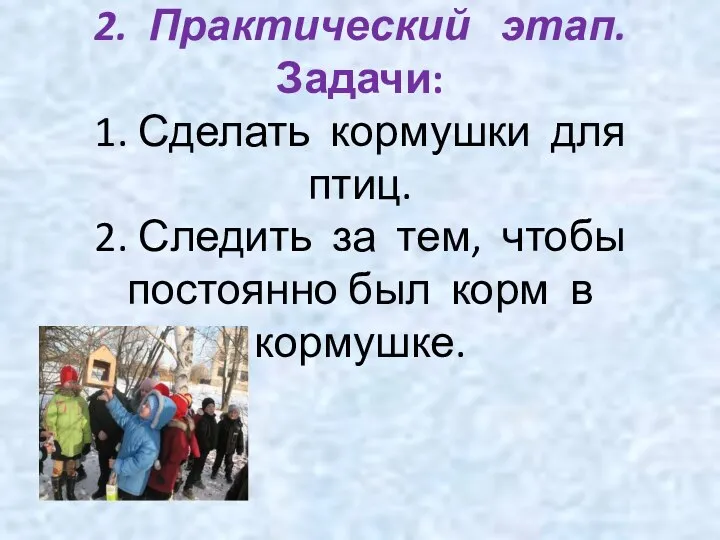 2. Практический этап. Задачи: 1. Сделать кормушки для птиц. 2. Следить