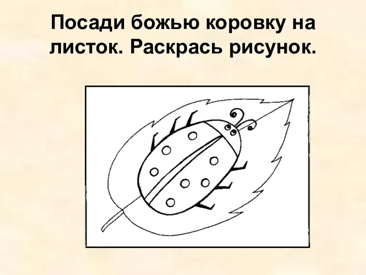 Посади божью коровку на листок. Раскрась рисунок.