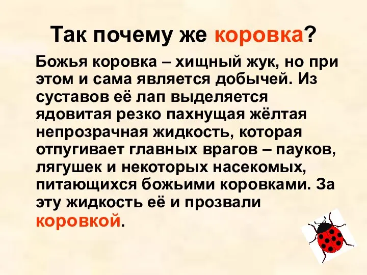 Так почему же коровка? Божья коровка – хищный жук, но при