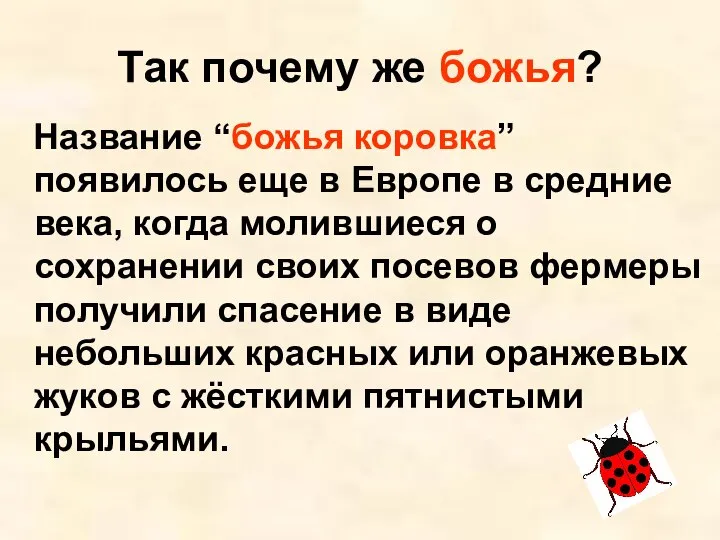 Так почему же божья? Название “божья коровка” появилось еще в Европе