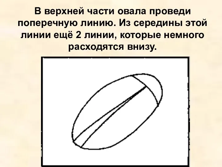 В верхней части овала проведи поперечную линию. Из середины этой линии