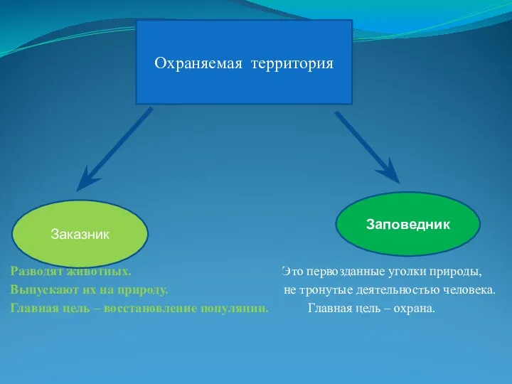 Разводят животных. Это первозданные уголки природы, Выпускают их на природу. не