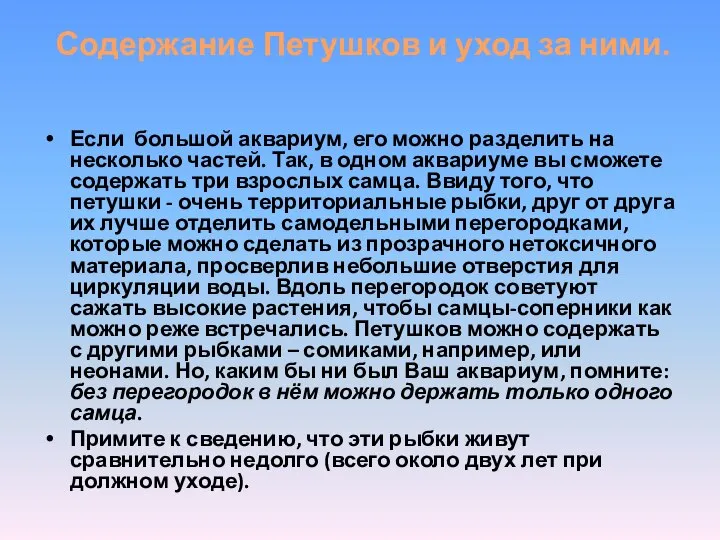 Содержание Петушков и уход за ними. Если большой аквариум, его можно