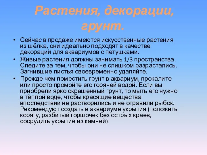 Растения, декорации, грунт. Сейчас в продаже имеются искусственные растения из шёлка,