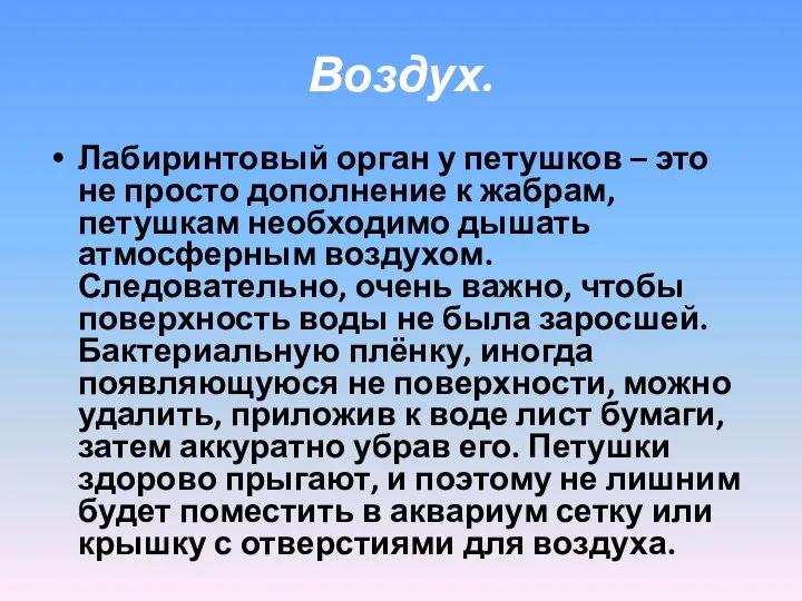 Воздух. Лабиринтовый орган у петушков – это не просто дополнение к