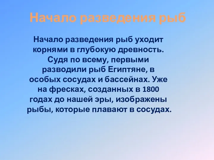 Начало разведения рыб Начало разведения рыб уходит корнями в глубокую древность.