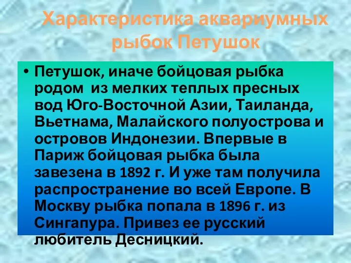 Характеристика аквариумных рыбок Петушок Петушок, иначе бойцовая рыбка родом из мелких