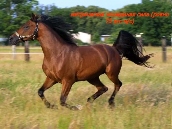 метрическая лошадиная сила (ровно 75 кгс·м/с) метрическая лошадиная сила (ровно 75 кгс·м/с)
