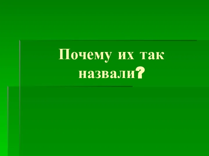 Почему их так назвали?