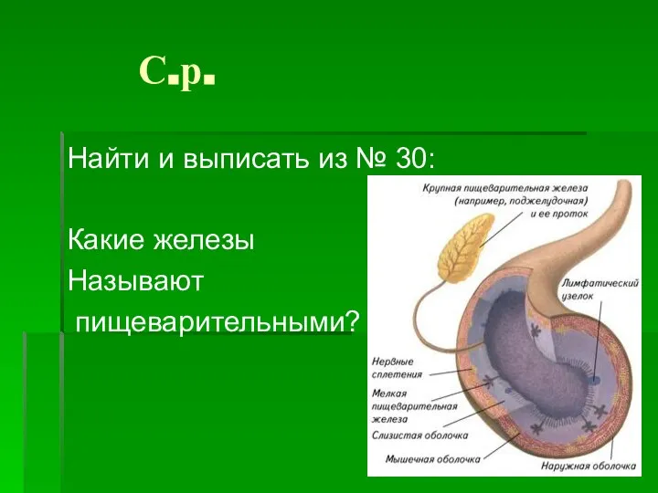 С.р. Найти и выписать из № 30: Какие железы Называют пищеварительными?