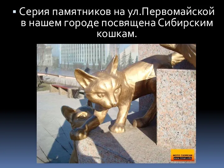 Серия памятников на ул.Первомайской в нашем городе посвящена Сибирским кошкам.