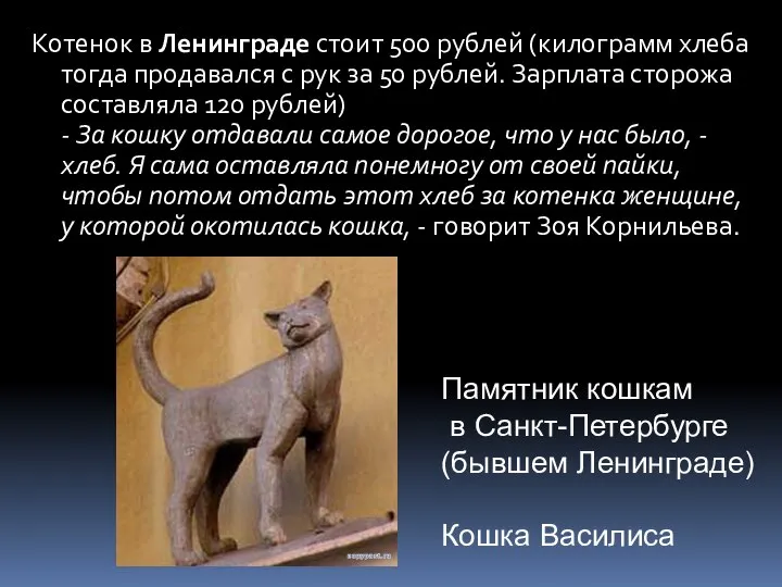 Котенок в Ленинграде стоит 500 рублей (килограмм хлеба тогда продавался с