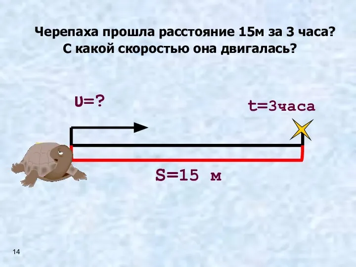 Черепаха прошла расстояние 15м за 3 часа? С какой скоростью она