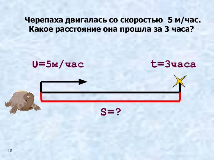 Черепаха двигалась со скоростью 5 м/час. Какое расстояние она прошла за