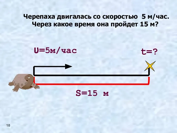 Черепаха двигалась со скоростью 5 м/час. Через какое время она пройдет