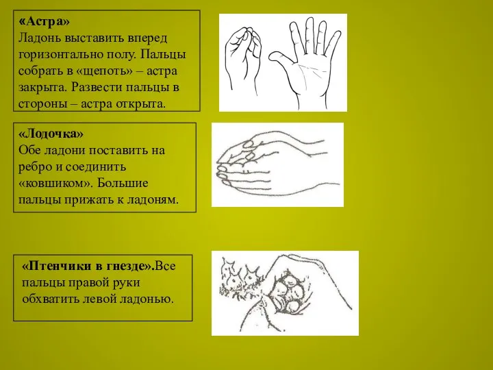 «Астра» Ладонь выставить вперед горизонтально полу. Пальцы собрать в «щепоть» –