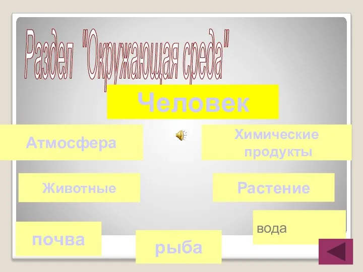 Раздел "Окружающая среда" Человек Химические продукты Атмосфера вода рыба почва Животные Растение