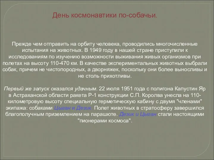 День космонавтики по-собачьи. Прежде чем отправить на орбиту человека, проводились многочисленные