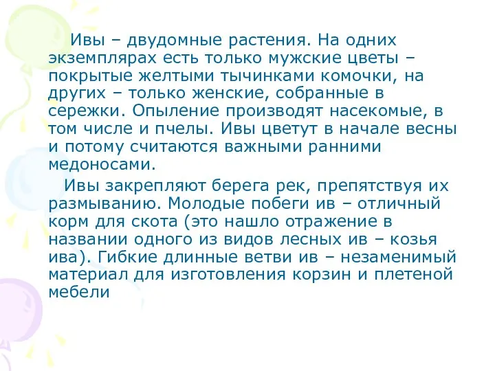 Ивы – двудомные растения. На одних экземплярах есть только мужские цветы