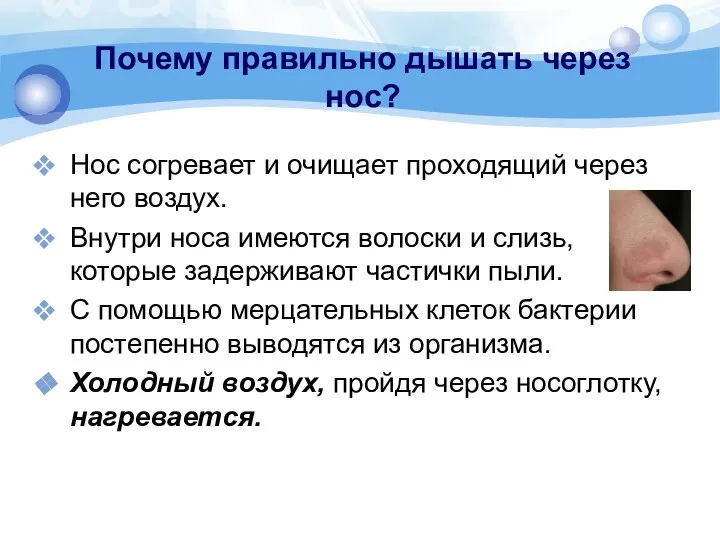 Почему правильно дышать через нос? Нос согревает и очищает проходящий через