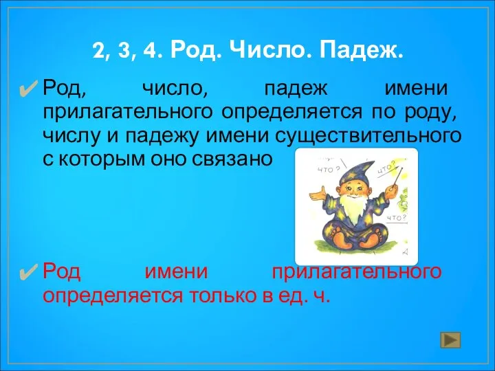 2, 3, 4. Род. Число. Падеж. Род, число, падеж имени прилагательного