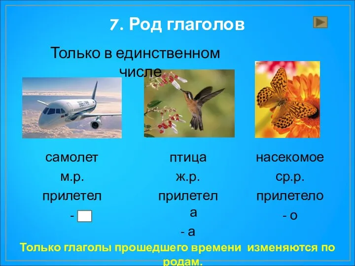 7. Род глаголов насекомое ср.р. прилетело - о Только глаголы прошедшего