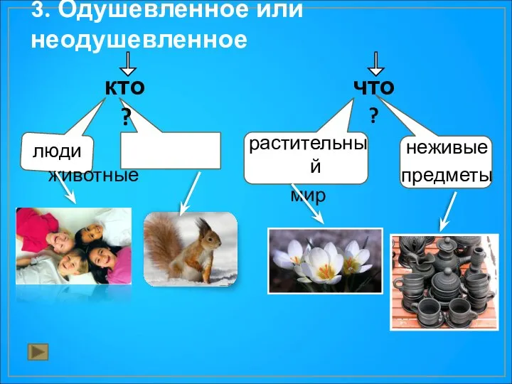 3. Одушевленное или неодушевленное кто? что? люди животные растительный мир неживые предметы