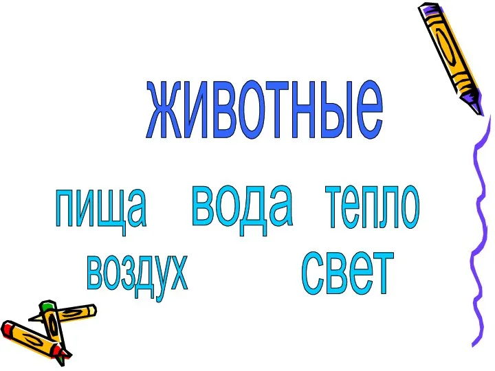 животные пища вода тепло воздух свет