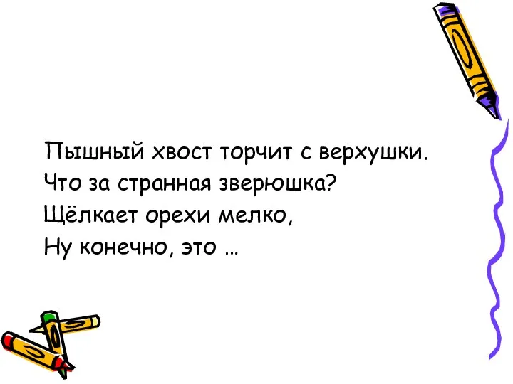 Пышный хвост торчит с верхушки. Что за странная зверюшка? Щёлкает орехи мелко, Ну конечно, это …