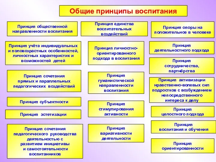 Общие принципы воспитания Принцип общественной направленности воспитания Принцип субъектности Принцип единства