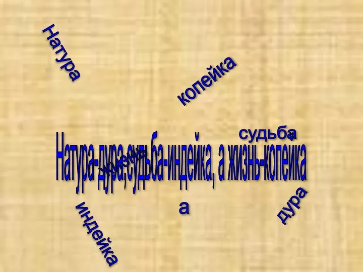 Натура дура судьба индейка жизнь а копейка Натура-дура,судьба-индейка, а жизнь-копейка