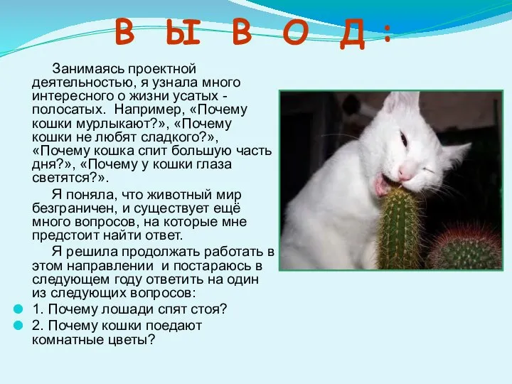 В Ы В О Д : Занимаясь проектной деятельностью, я узнала