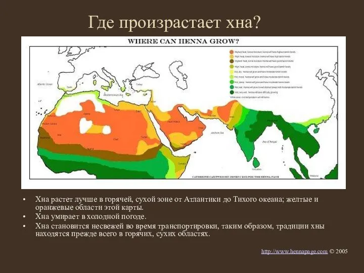 Где произрастает хна? Хна растет лучше в горячей, сухой зоне от