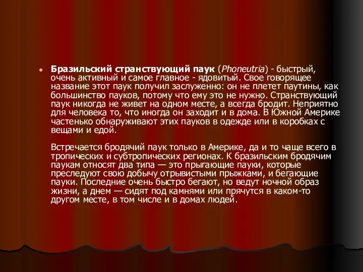 Бразильский странствующий паук (Phoneutria) - быстрый, очень активный и самое главное