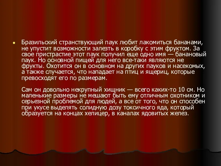 Бразильский странствующий паук любит лакомиться бананами, не упустит возможности залезть в